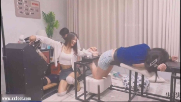 【灯火大师】—晶晶+小白+一桐，三人轮流TK